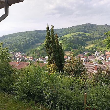 Das Tor Zum Odenwald Gorxheimertal Kültér fotó