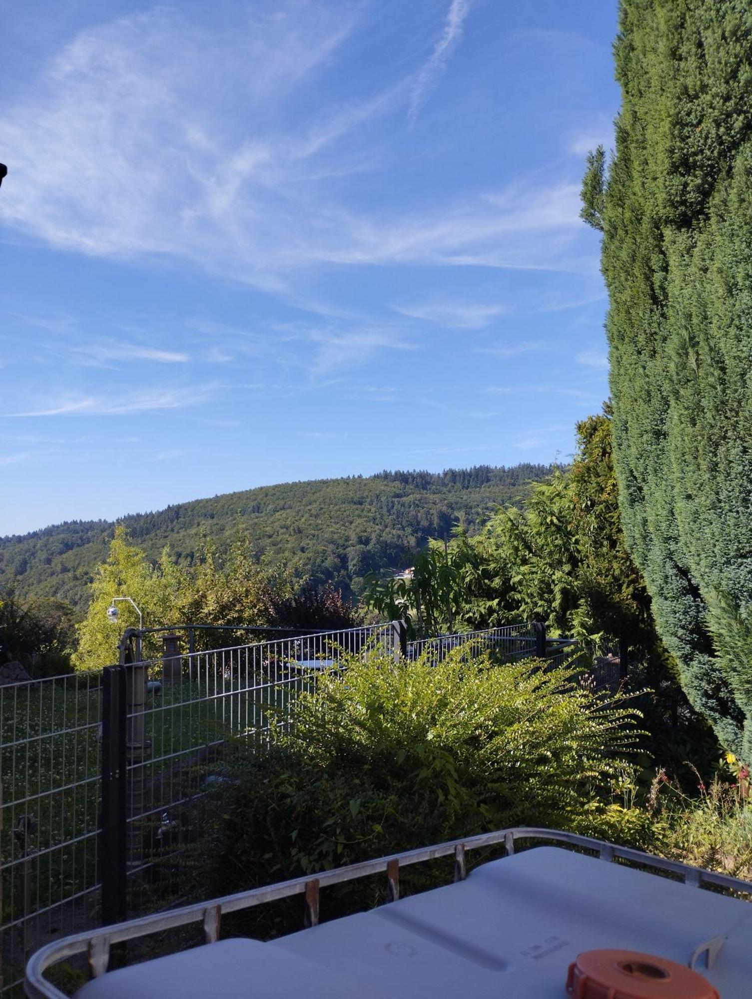 Das Tor Zum Odenwald Gorxheimertal Kültér fotó